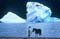Perito Moreno glaciar 03